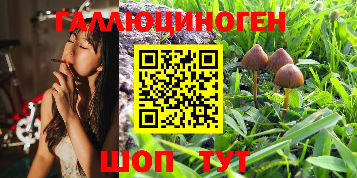 Галлюциногенные грибы MAGIC MUSHROOMS  Вход с VPN  Псилоцибиновые грибы мухоморы  Беслан 