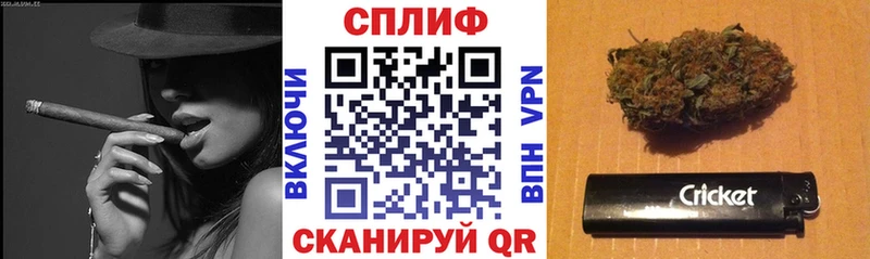 где можно купить наркотик  Беслан  Бошки марихуана семена 
